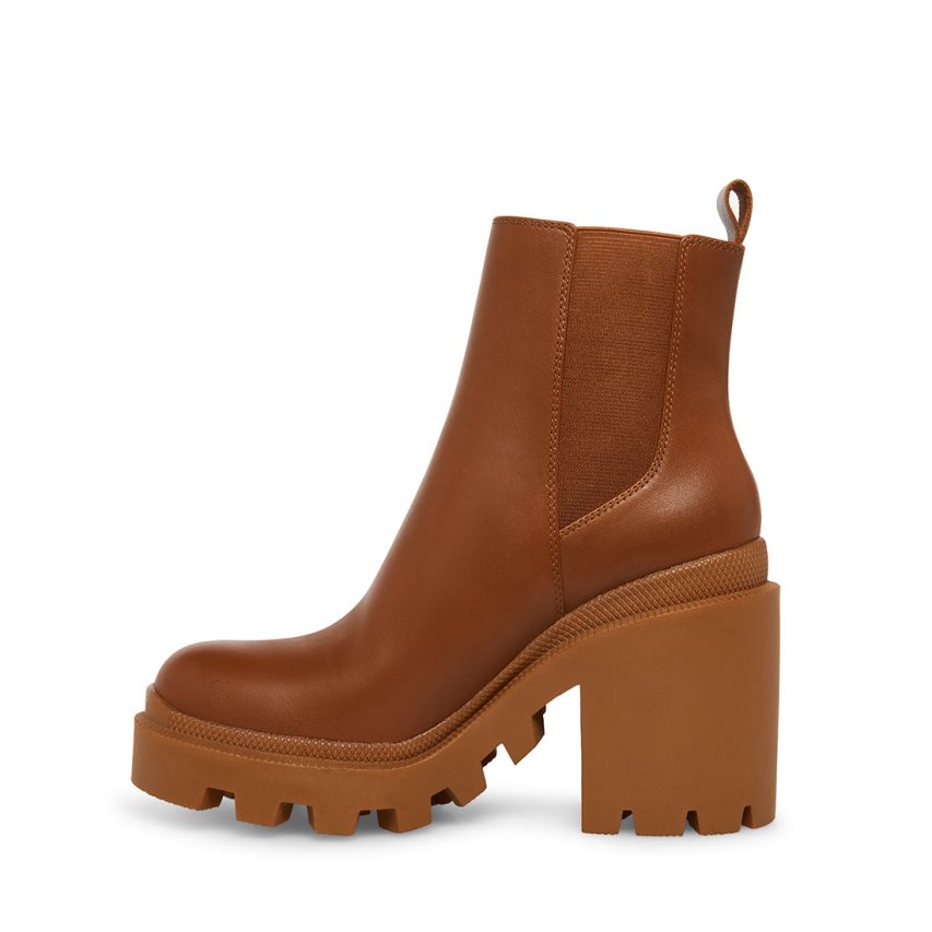 Brown Steve Madden Roxie Leather Women's Ankle Boots | PH 2183IPX